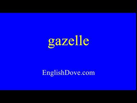How to pronounce gazelle in American English.