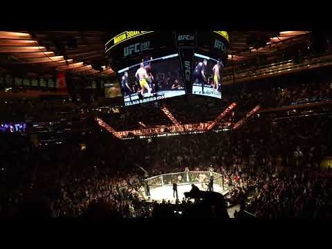 MSG goes nuts when Alex Pereira stops Israel Adesanya in round 5 at #UFC281