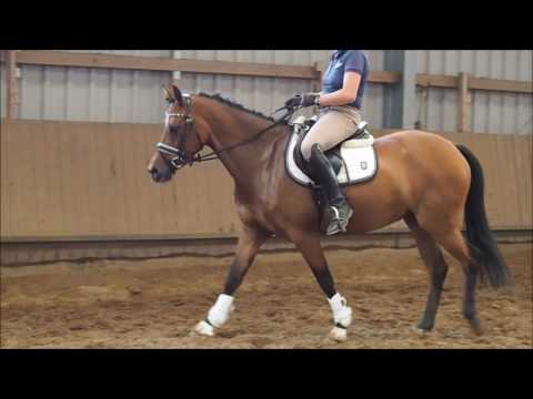 4j Stute v. Classic Dancer