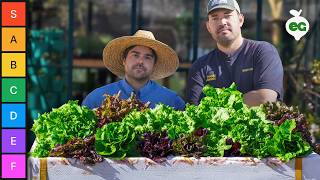 We Grew 18+ Types of Lettuce and Ranked Them