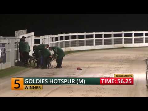 2017 COLOSSUS BETS TV TROPHY - HEAT 2 - T5 GOLDIES HOTSPUR