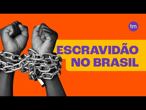 SLAVERY IN BRAZIL: How Long It Lasted and How It Happened