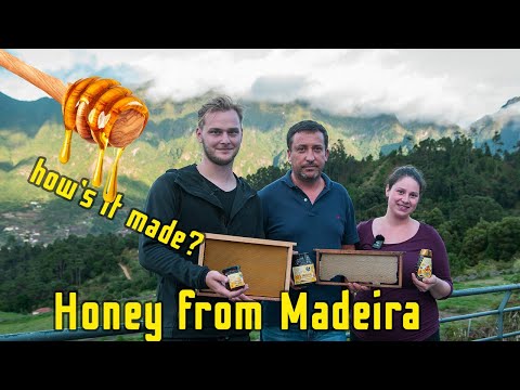 All about BEES and HONEY production in the valley of São Vicente, Madeira island