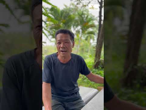 PHẢN HỒI CỦA KHÁCH HÀNG DÙNG NHUNG HƯƠU NAI HỖ TRỢ HỒI PHỤC XƯƠNG KHỚP 