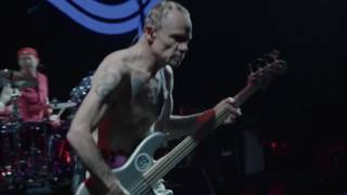 Red Hot Chili Peppers - Goodbye Angels (Live Version)