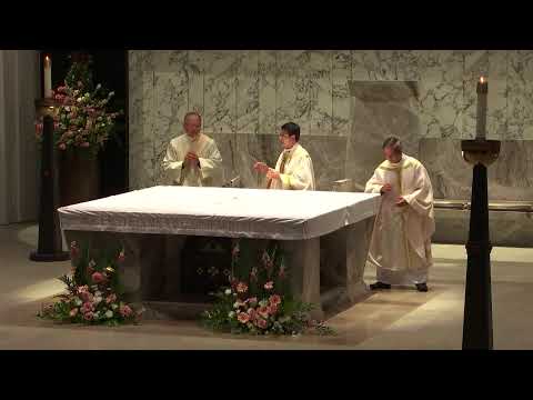 24/10/2023 | Thứ Ba Tuần XXIX Mùa Thường Niên | Trực Tuyến Từ Nhà Thờ Chánh Tòa Chúa Kitô