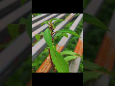 Nature Photography| Shriwardhan श्रीवर्धन | JustClick90 | September 2023