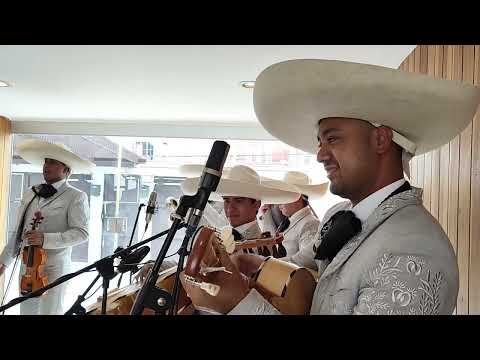 El Mariachi Alazán - Pelea de Gallos (Antonio Aguilar)