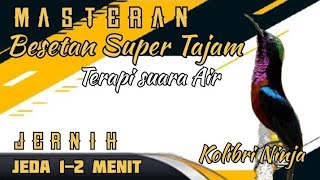 Download lagu Masteran Dahsyat kolibri Ninja full Besetan II Jeda 1 Menit   Suara Air mp3