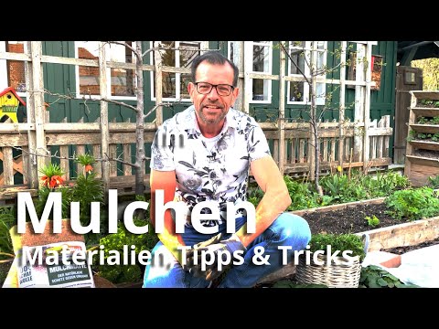 Mulchen für intelligente Faule: Materialien, Tipps & Tricks
