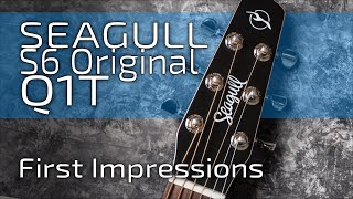 Video thumbnail for SEAGULL S6 Original Natural Q1T | First Impressions by Pedal Platform