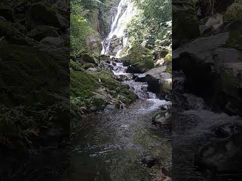 Panama nature - Chorro El Macho Valle de Anton