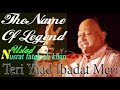 Teri Yaad Ibadat Meri - Nusrat Fateh Ali Khan