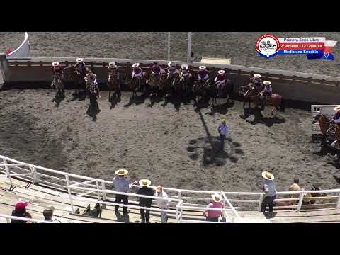 Primera Serie Libre Club de Rodeo Negrete - Medialuna Socabio