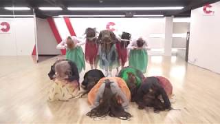 GOOD DAY (굿데이) - "ROLLY" Dance Practice (Remix Ver.)