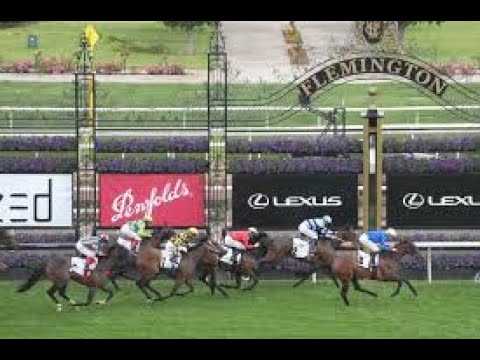 Kennedy Oaks Preview! Thursday 4 November 2021