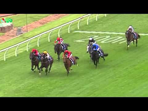 Group 1 Sky Racing Rosehill Guineas