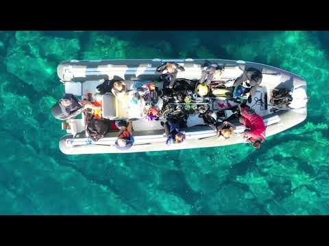 Plić Seget_natural reef (Split-Dalmatia - Croatia)