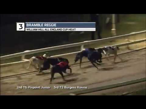 WILLIAM HILL ALL ENGLAND CUP - HEAT 6 - T3 BRAMBLE REGGIE