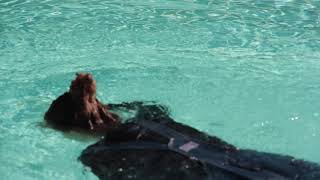 L&#39;appel du vide (Trailer)