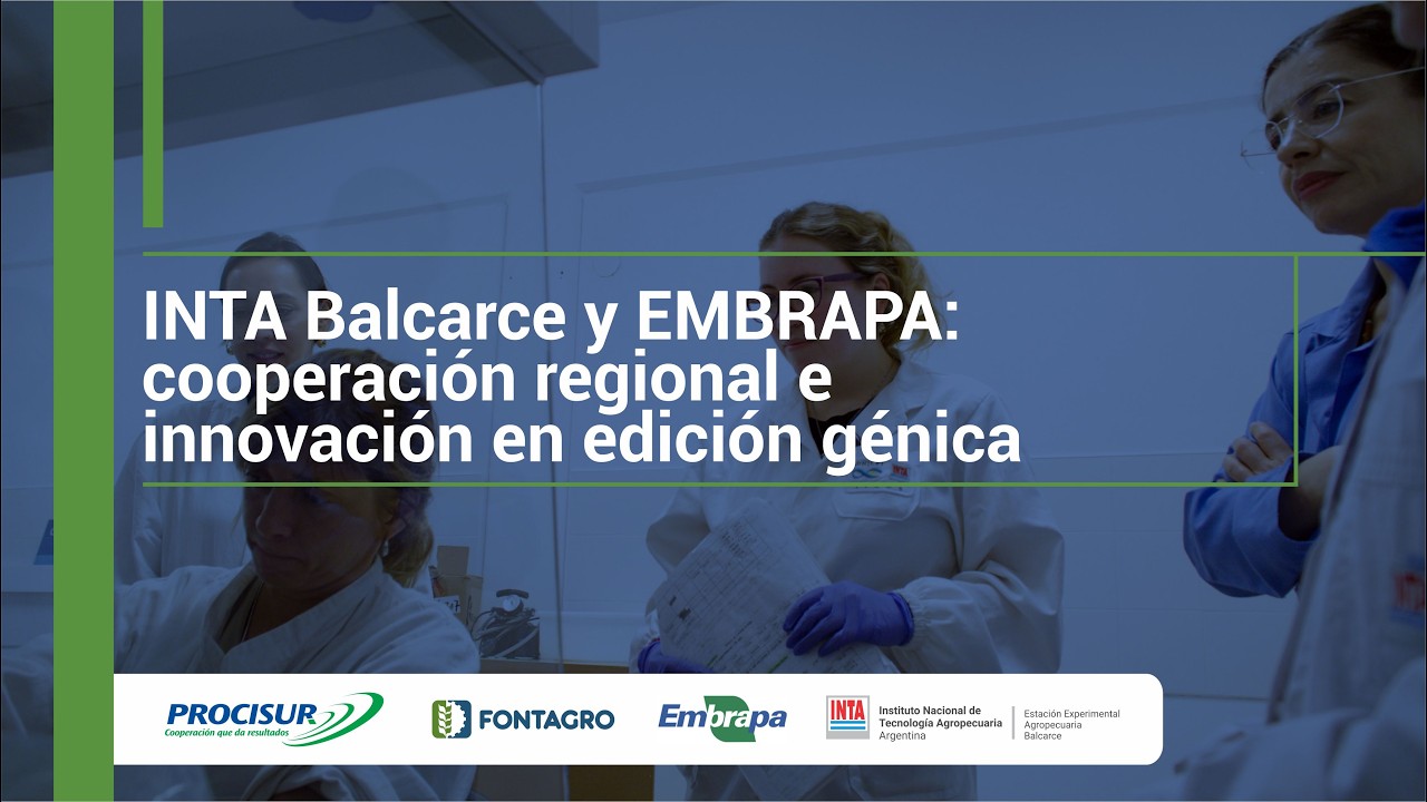 INTA Balcarce e EMBRAPA: cooperación regional e innovación en edición génica