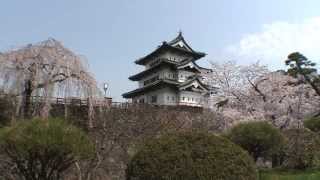 preview picture of video '青森県　弘前公園の桜 - Hirosaki Castle & cherry blossoms, Aomori, Japan'