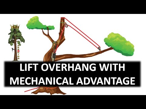 HOW TO | LIFTING A LIMB USING MECHANICAL ADVANTAGE | ARBORIST RIGGING TECHNIQUE 🤯👍