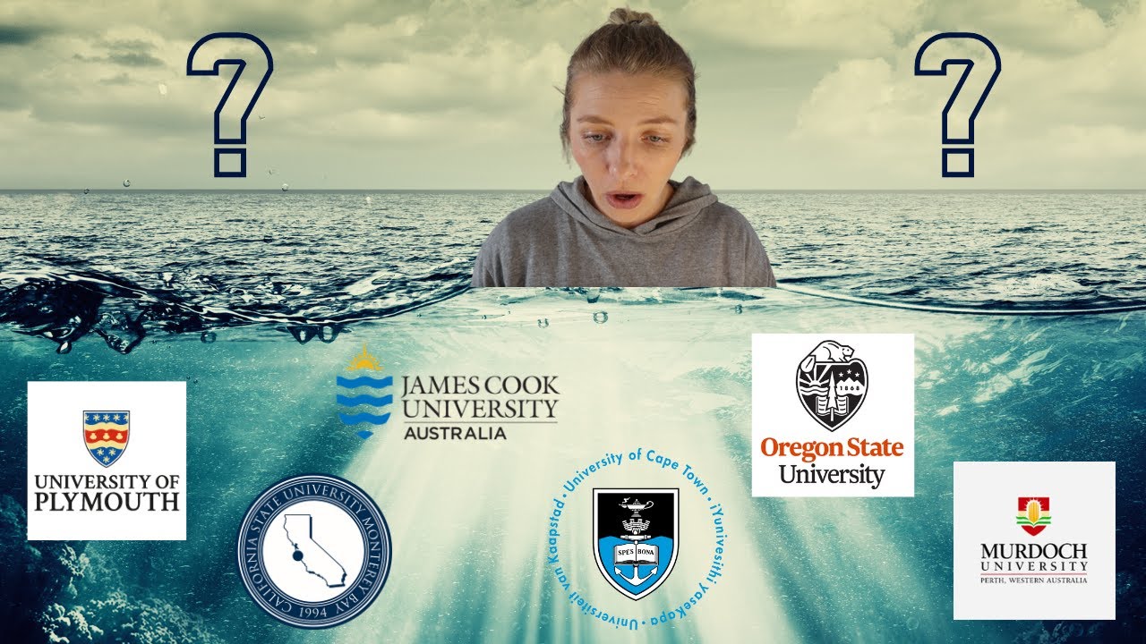 Which university for marine biology undergrad?