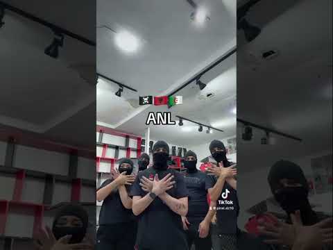 ANL Algeria Albania dz mafia