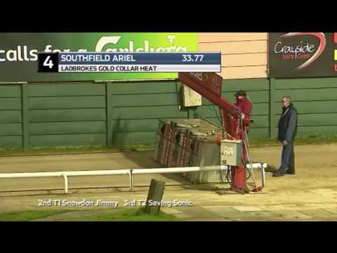 2019 LADBROKES GOLD COLLAR - HEAT 4 - T4 SOUTHFIELD ARIEL