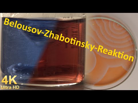 Alles über die Belousov-Zhabotinsky-Reaktion