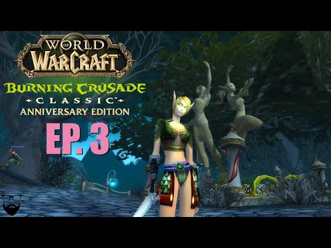 World of Warcraft The Burning Crusade Classic - Paladin - Part 4 - Dreamcythe US - Chill Leveling