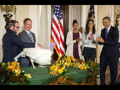 Presedintele Barack Obama a gratiat un curcan de Ziua Recunostintei – VIDEO Presedintele Barack Obama a gratiat un curcan de Ziua Recunostintei – VIDEO