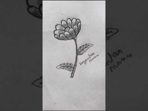 beautiful flower drawing with pencil #flower #drawingsayantan #shorts #art #drawing