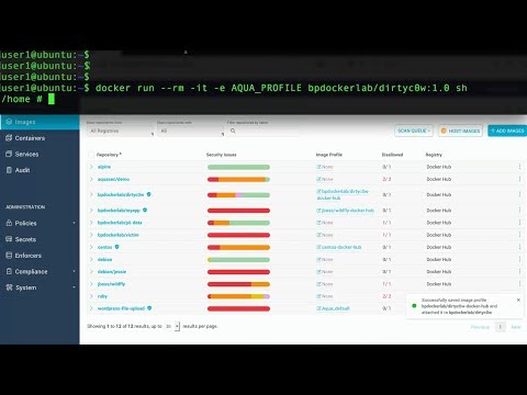 How Dynamic Syscall Profiling Protects Against Kernel Exploits