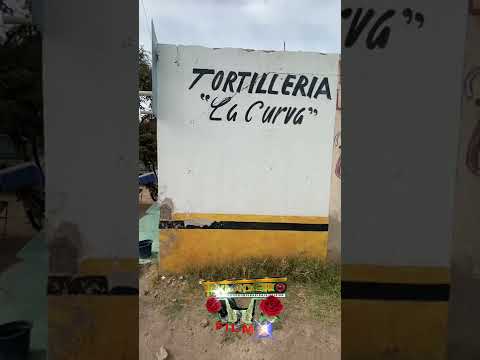 Paseando por San Jose el Saladillo San Luis Potosí 🇲🇽