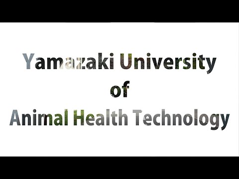 ヤマザキ動物看護大学─南大沢キャンパス