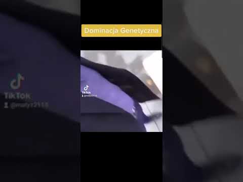 SENTINO freestyle #shorts