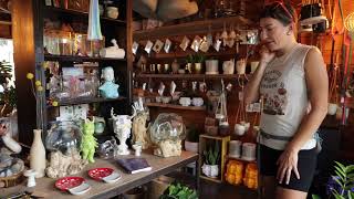 Austin's Most Immersive Plant Experience | Tillery St. Plant Co. | Keep Austin Gardening