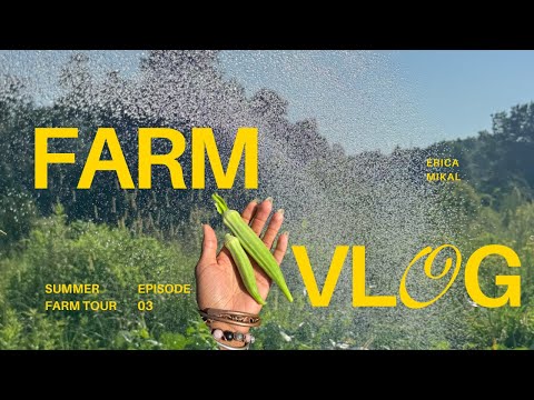 First Summer Farm Tour: Cucumber Bounty, Tiny Home Move-In & Barn Renovation Update