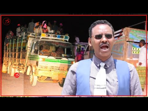 Arin Nabad Gelyo Cadowgaaga Lama Ogaysiiyo''Xildhibaan Axmed Cabdi Timo Jilic