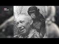 De ijsberen van Ouwehands in de meidagen van 1940 [RTV Utrecht]