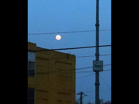 Recordándote | Mc Omar ft Gamaliel