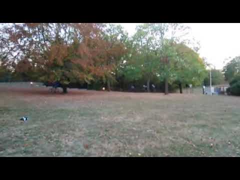 Entrainement VTT pour les cyclistes du SCA 2000 Evry