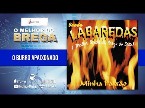 Banda Labaredas - O Burro Apaixonado