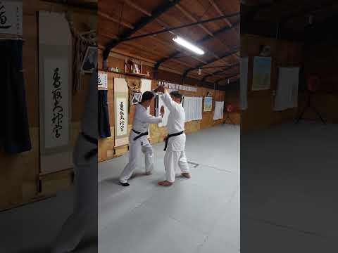 相半身片手取り上方回転抜けて投げ　徒手　