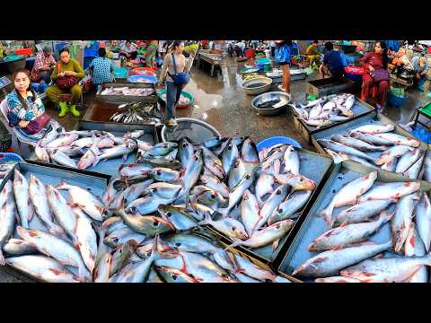 Cambodia Freshwater Fish Market, Wet Market, Rich in Small and large Freshwater Fish and Shrimp
