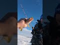 Video Thumbnail for Kid Lands Huge Perch!