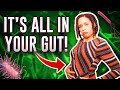 How Your Gut Bacteria Controls Your Mood