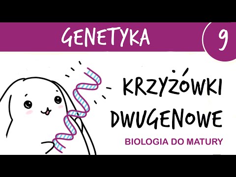 Genetics 9🧬 Classical genetics - two-gene crosses with complete dominance - biology final exam